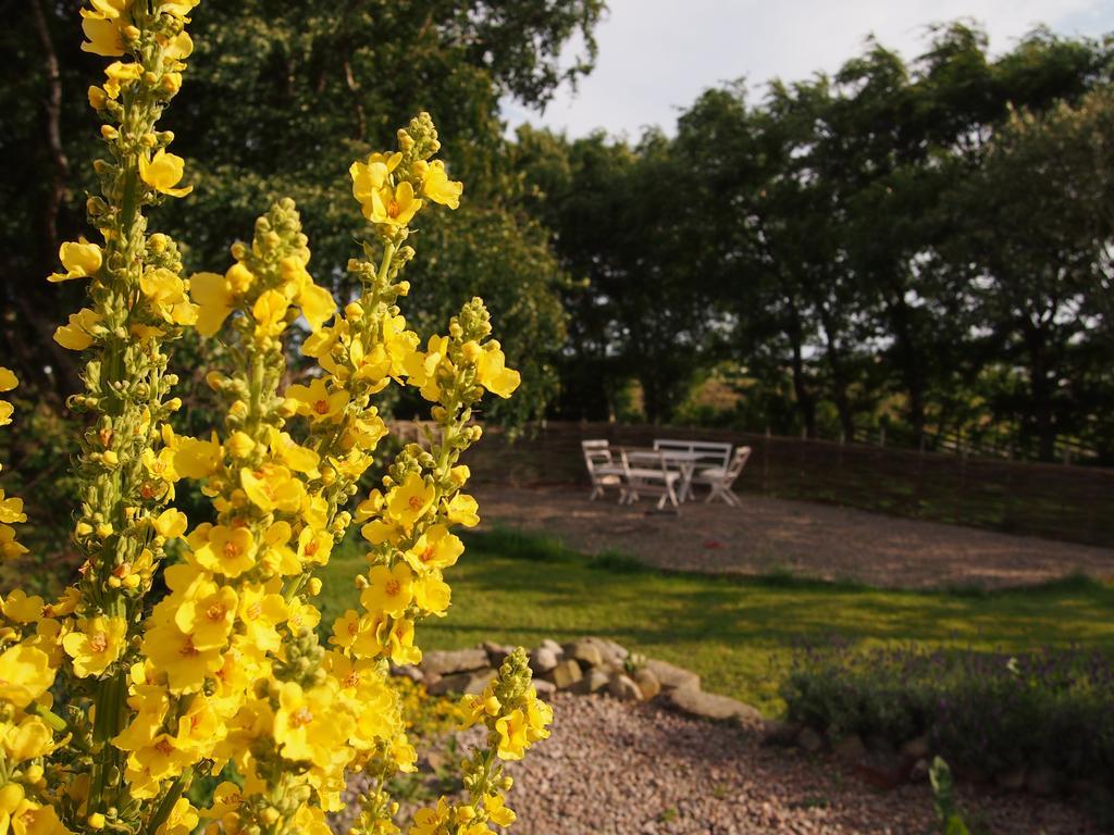 Augustas Bed & Breakfast Bed and Breakfast Falkenberg Esterno foto